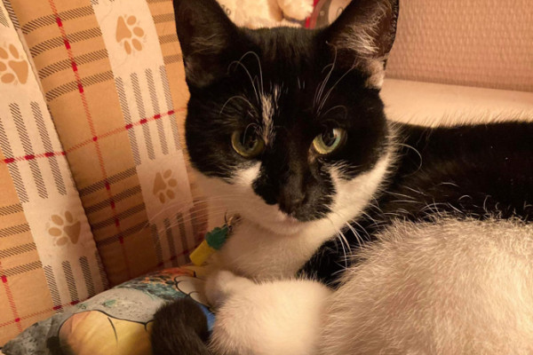Zoë