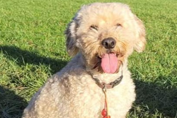Max