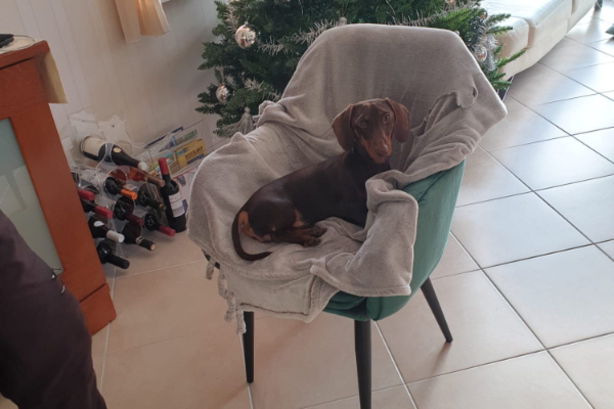 Mylo