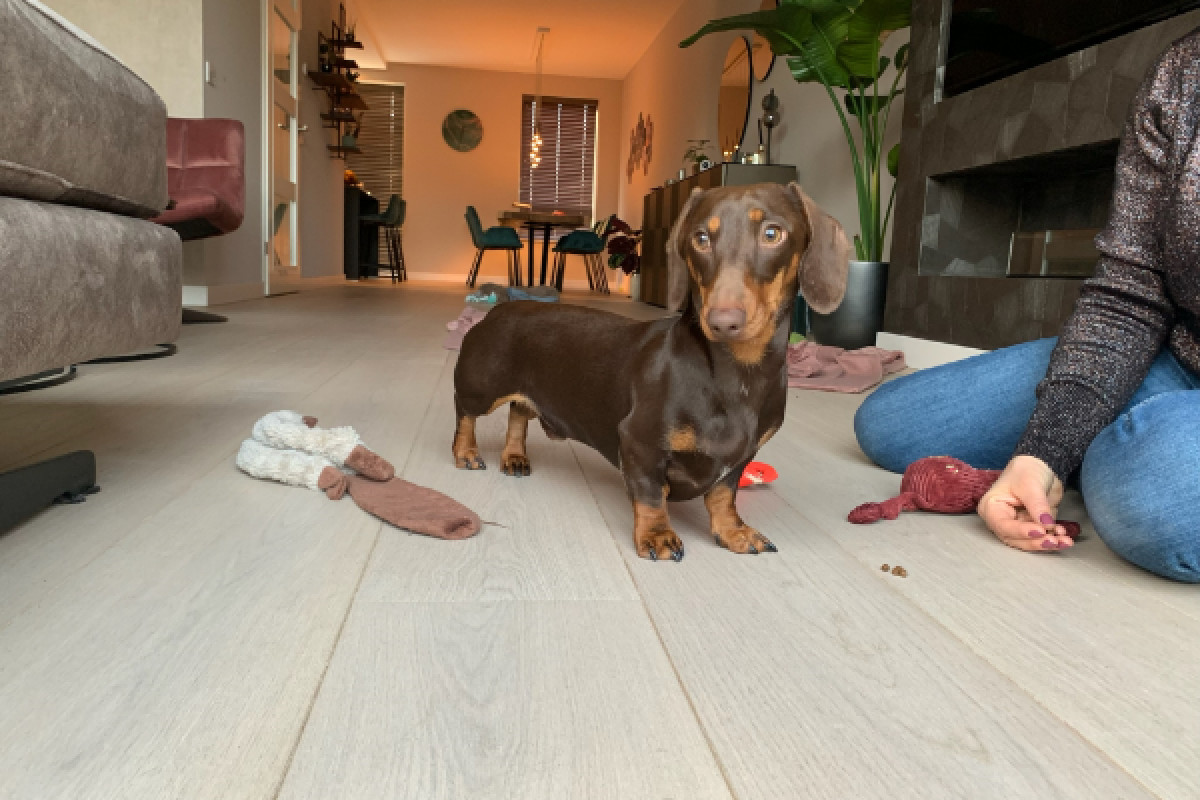 Mylo