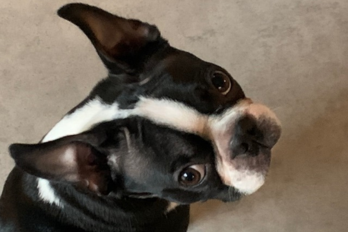 Stinky