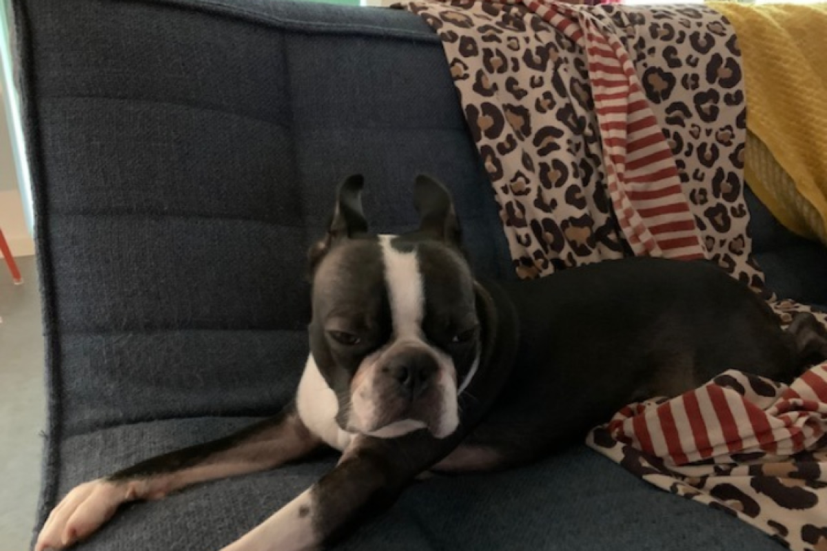 Stinky