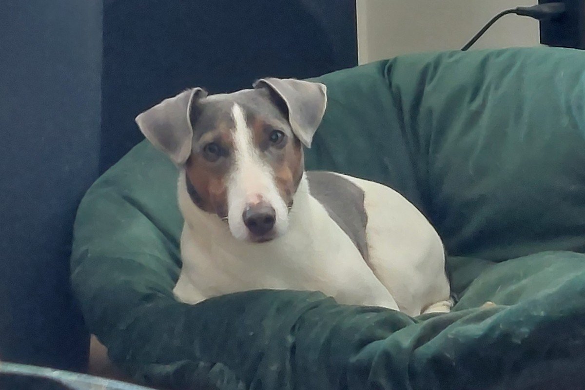 Jax