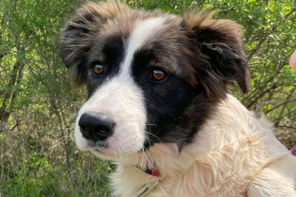 Xena