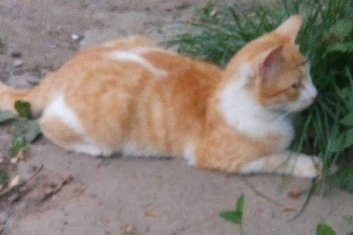 Tony