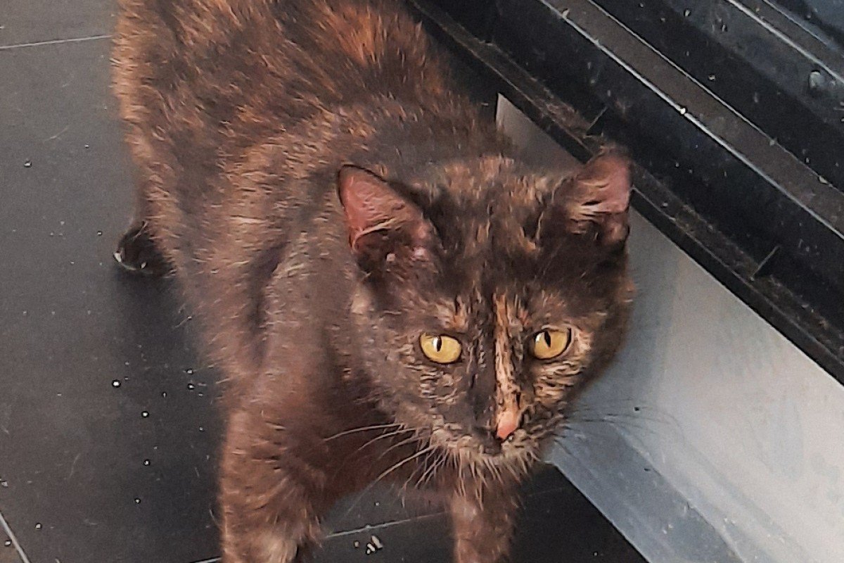 Nora