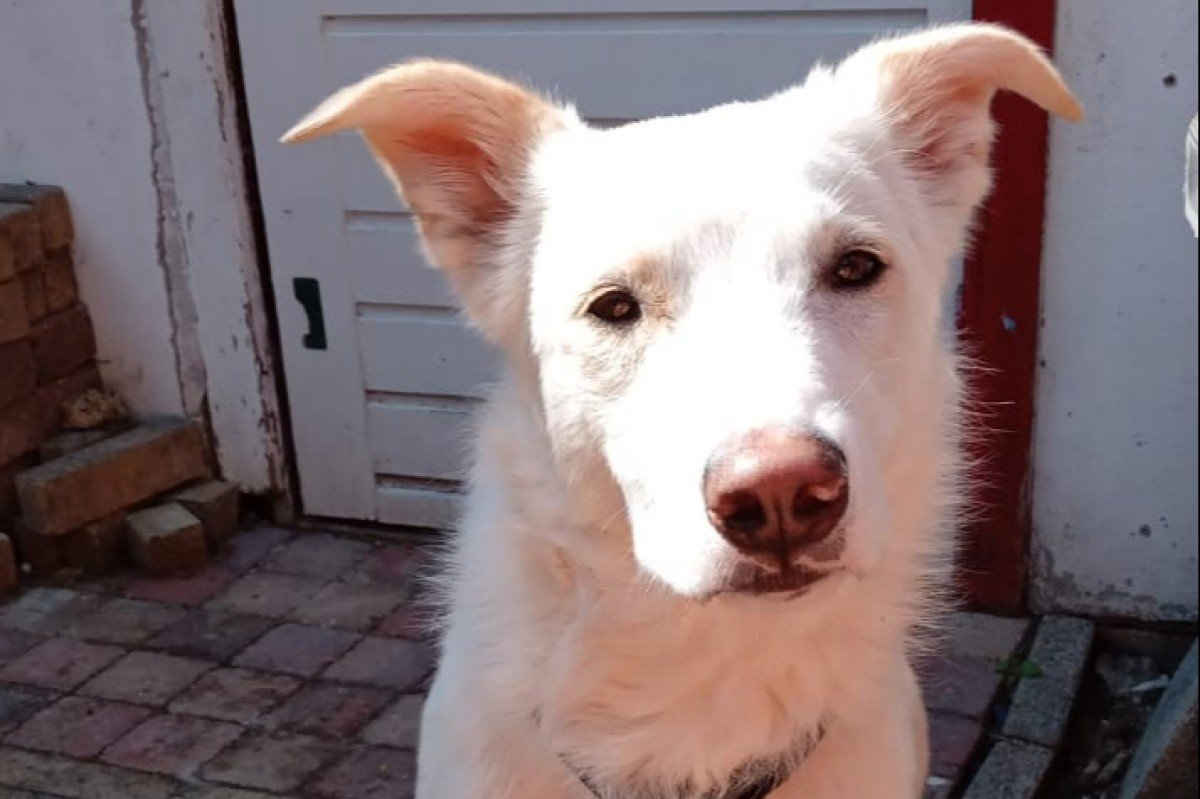 Casper