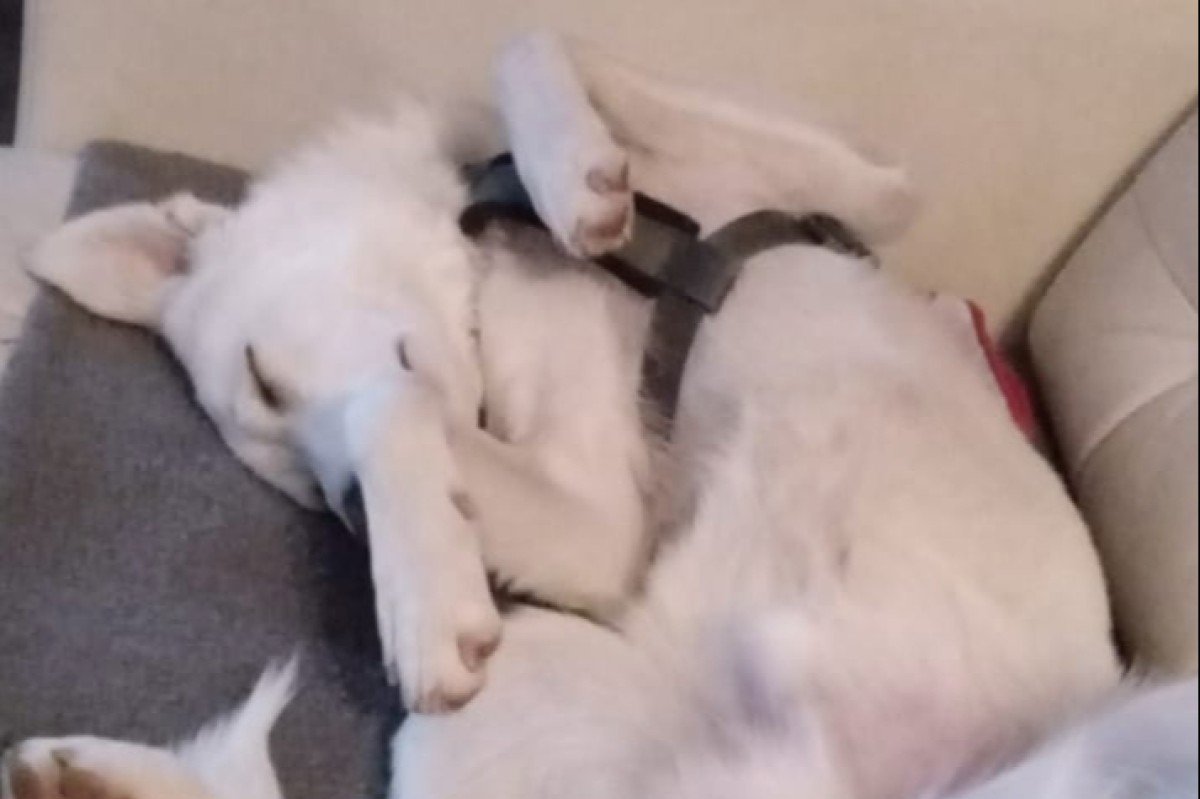 Casper