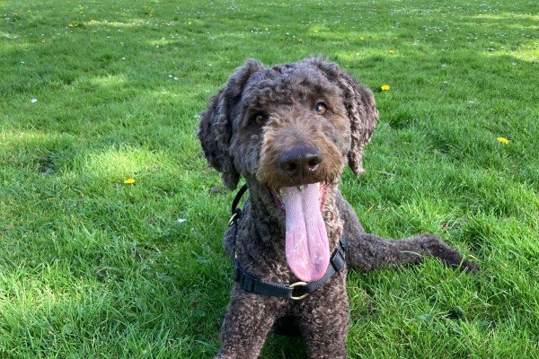 Max