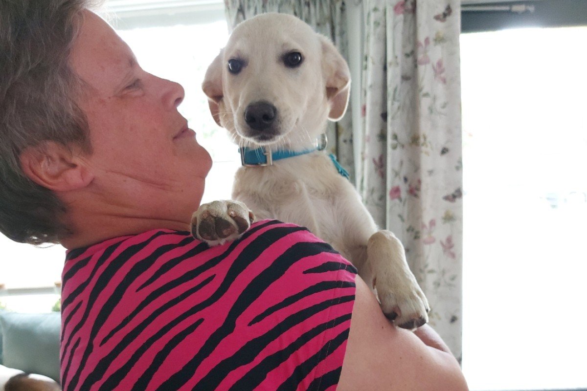 Pup Tania/Hilversum