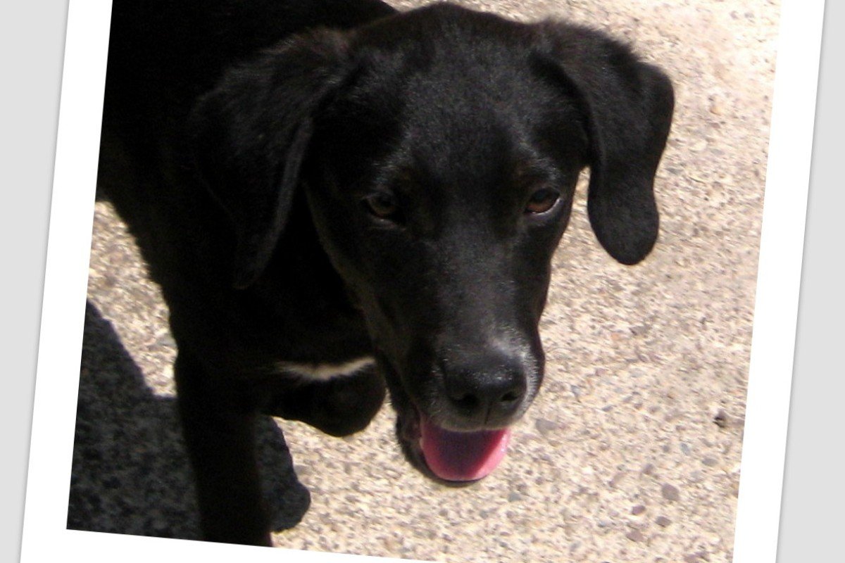 Carmen