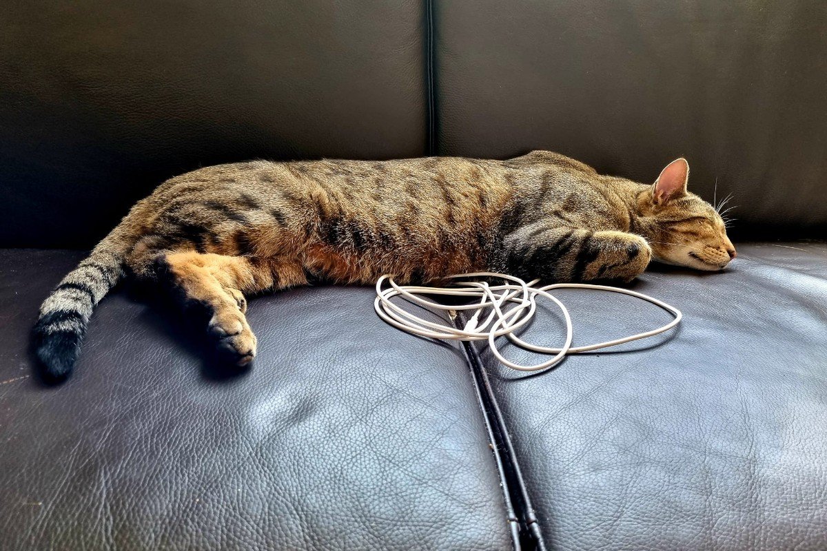 Floki