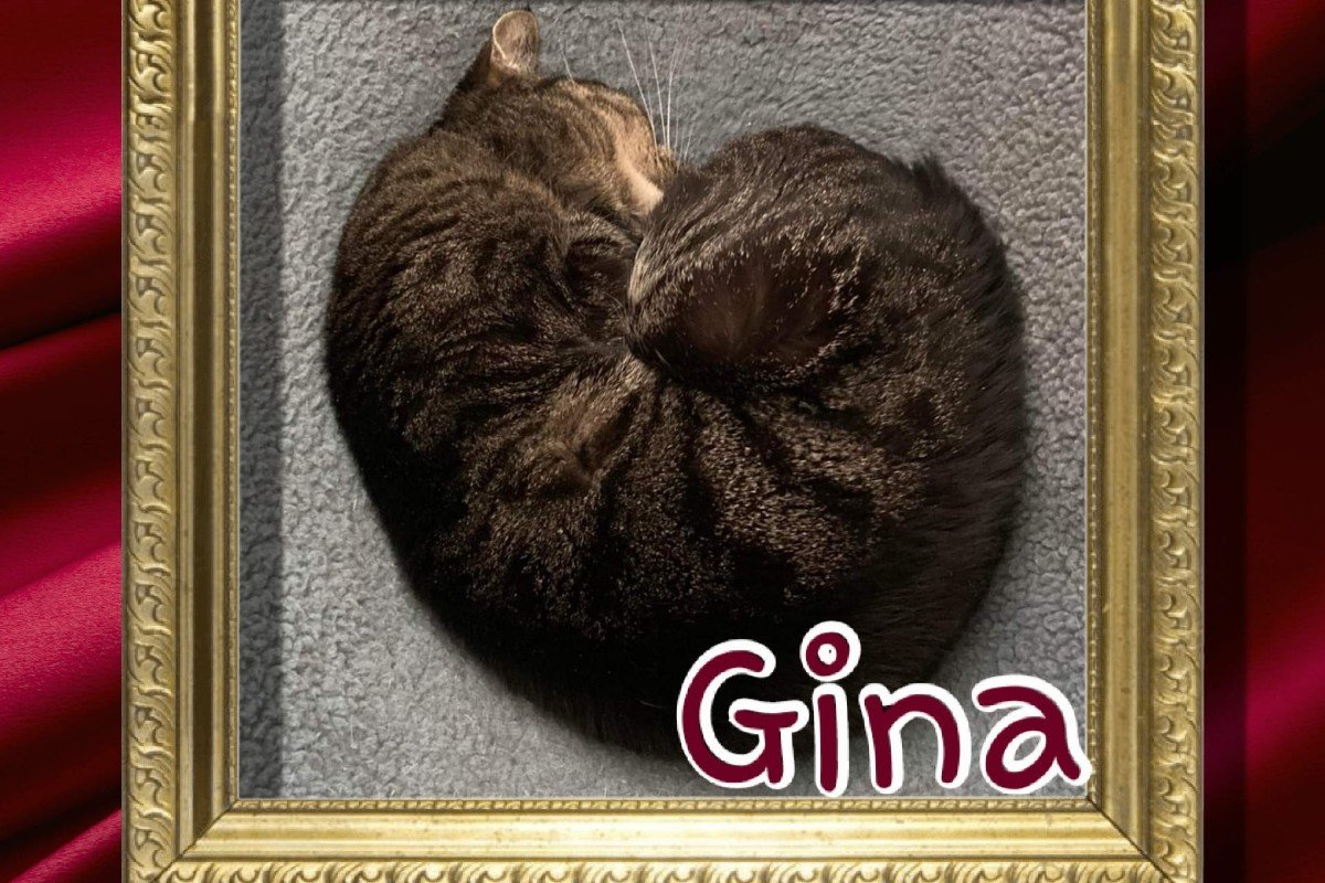 Gina