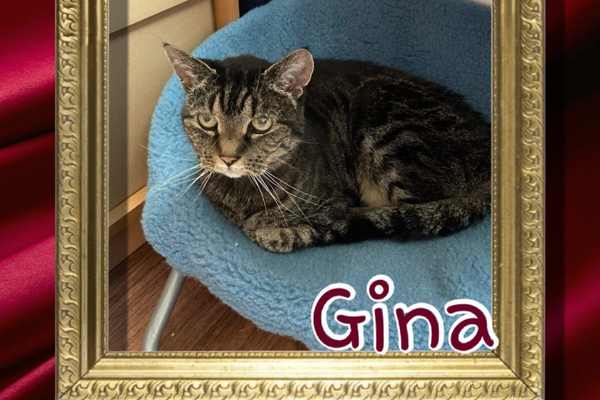 Gina