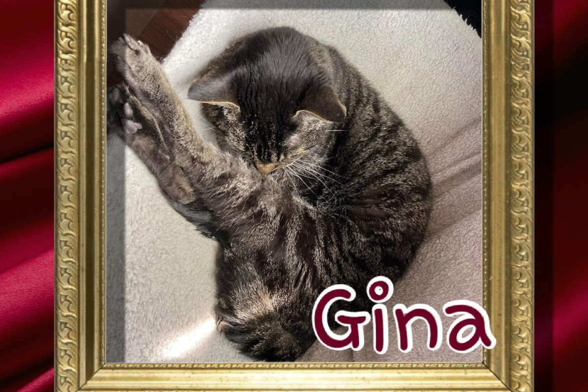 Gina