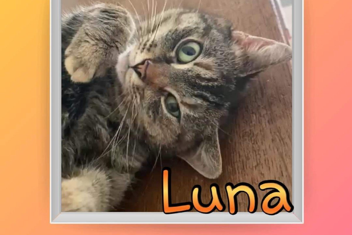 Luna