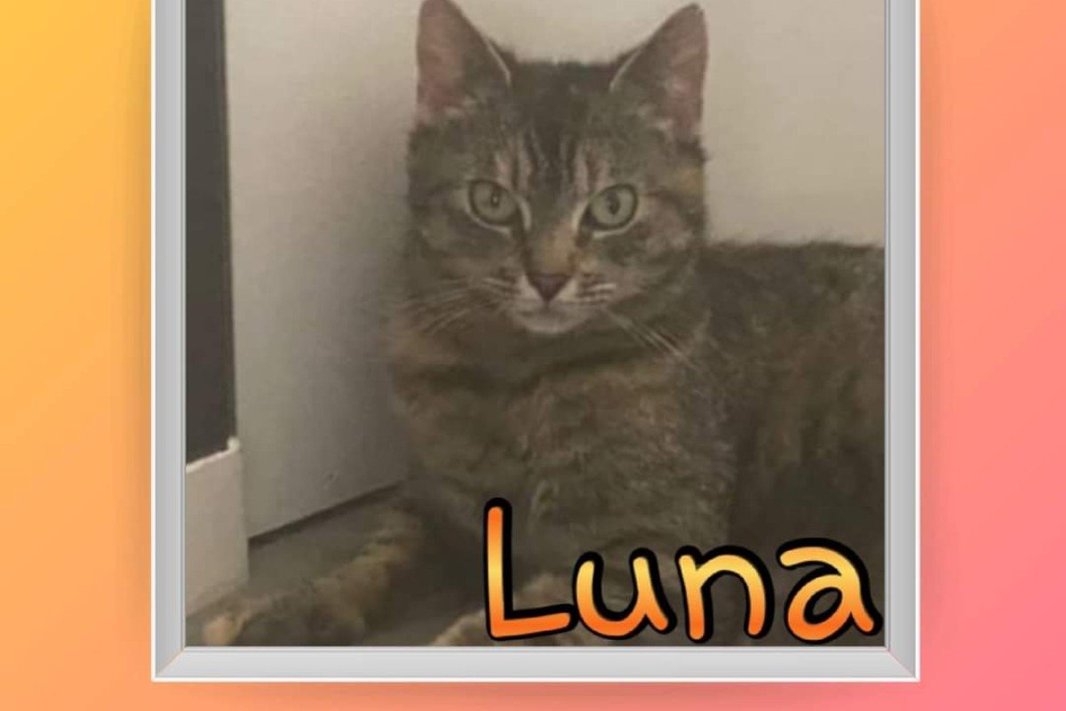 Luna