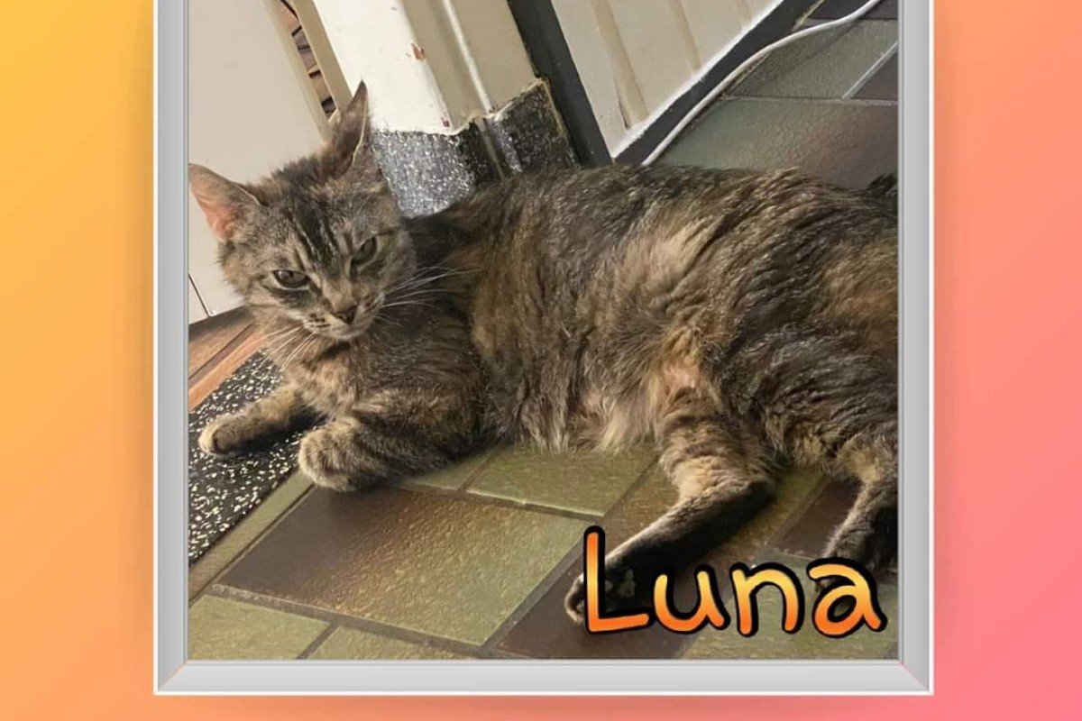 Luna