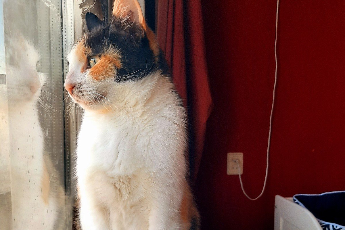 Karina