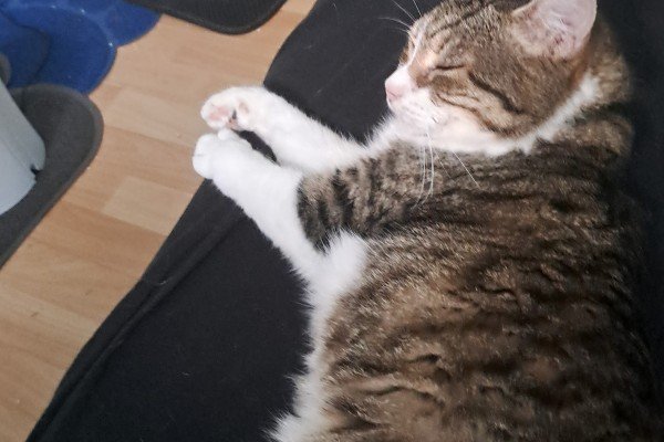 Gina