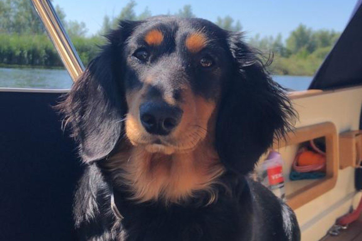 Bella