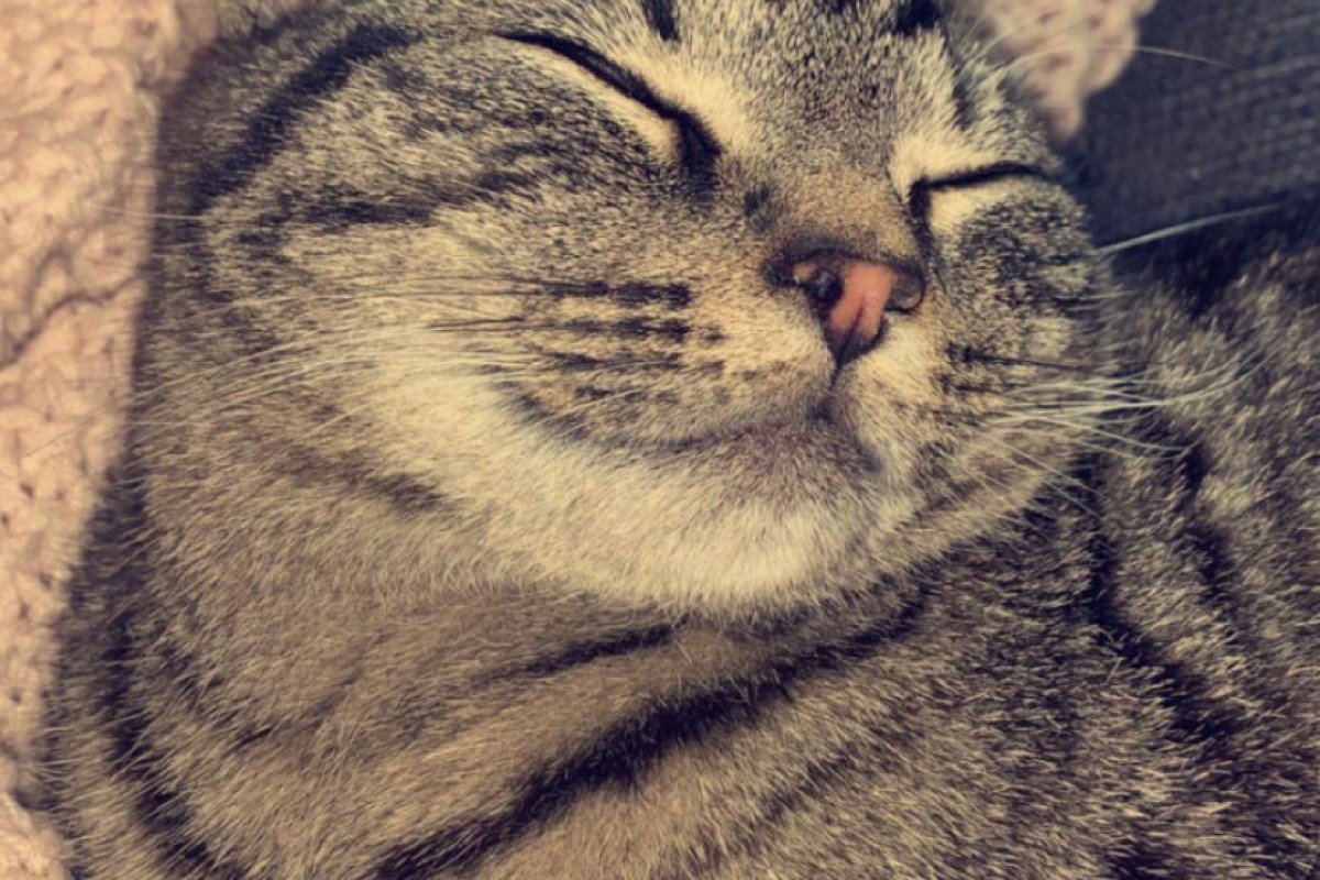 Lucy