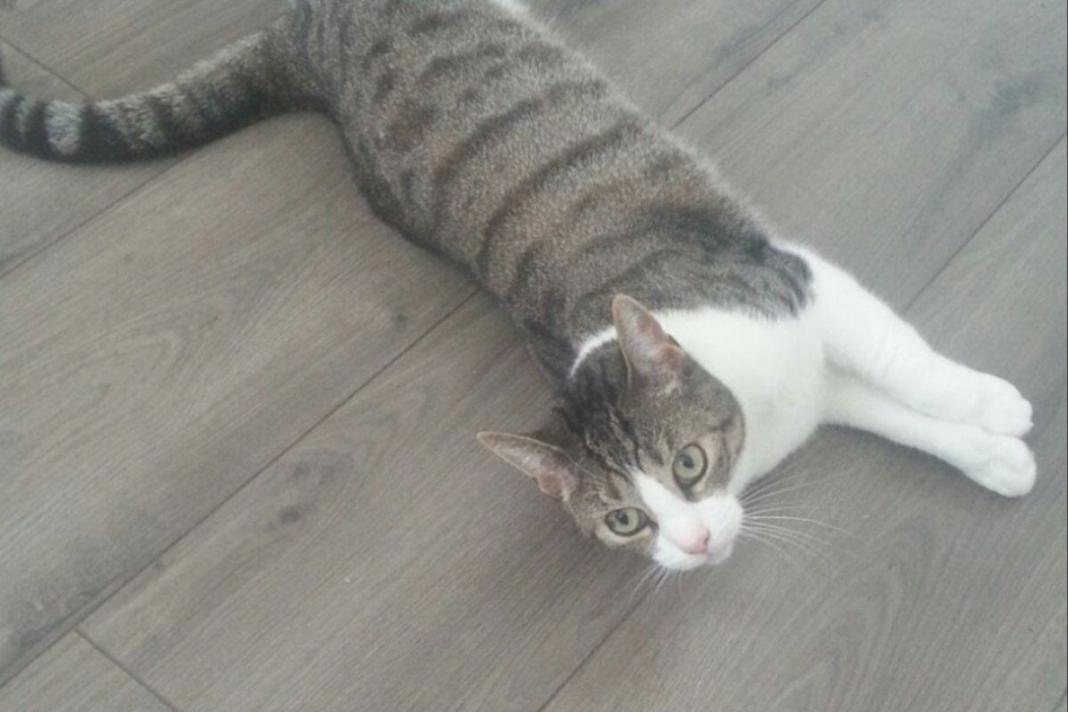 Abu