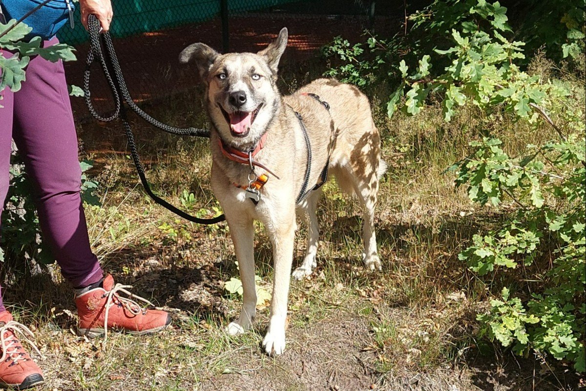 Kama