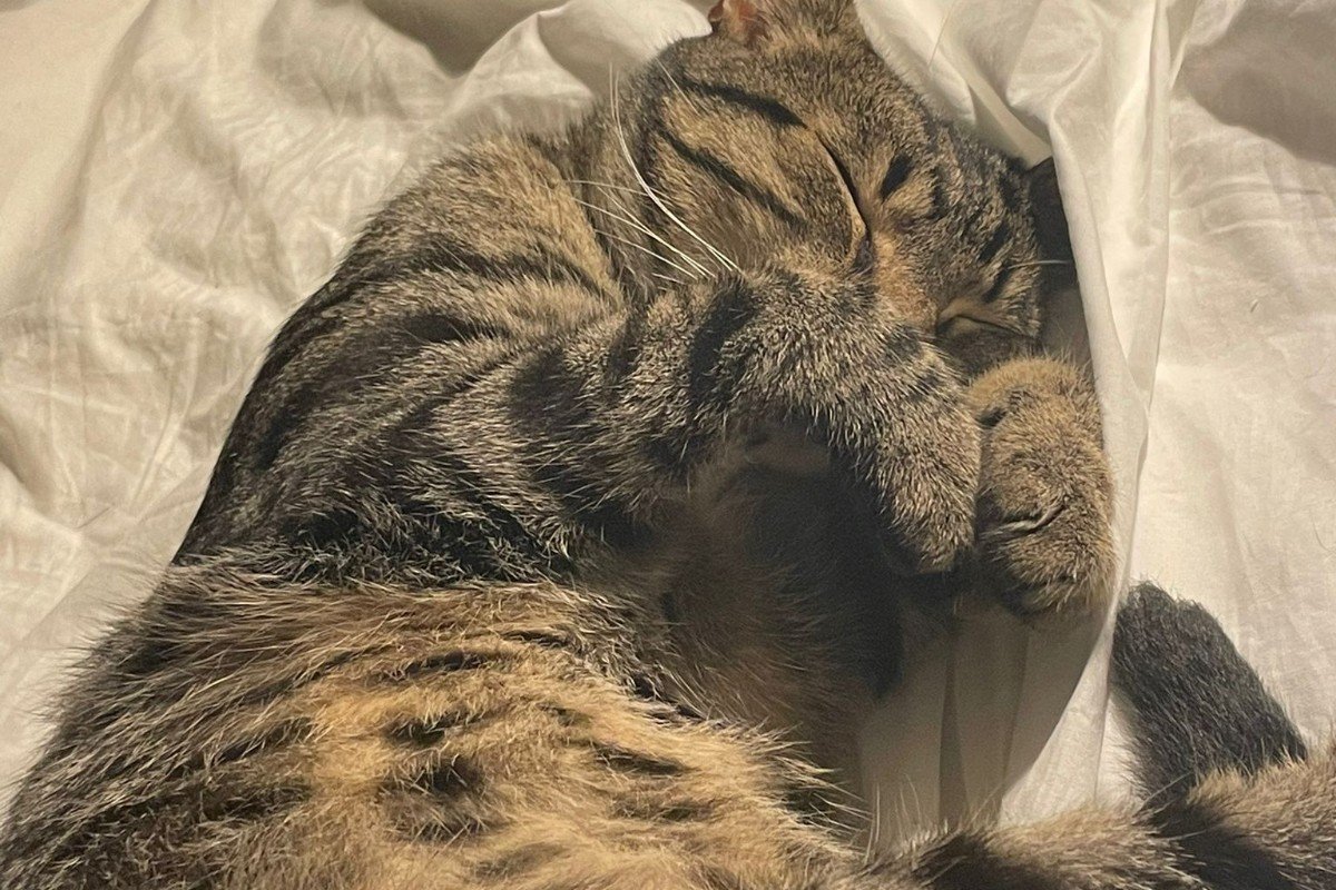 Timmy