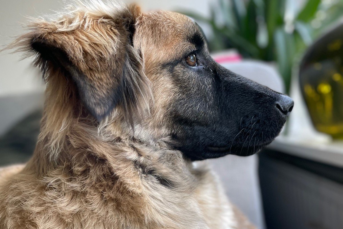 Lena