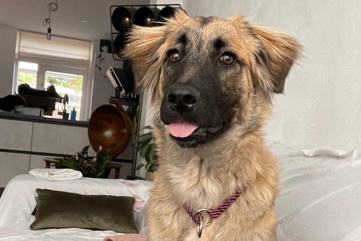 Lena