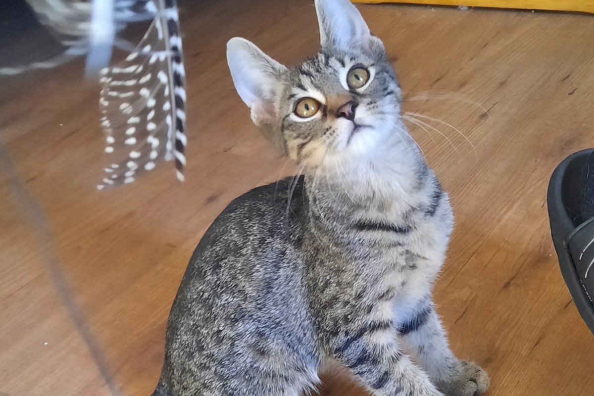 Jax