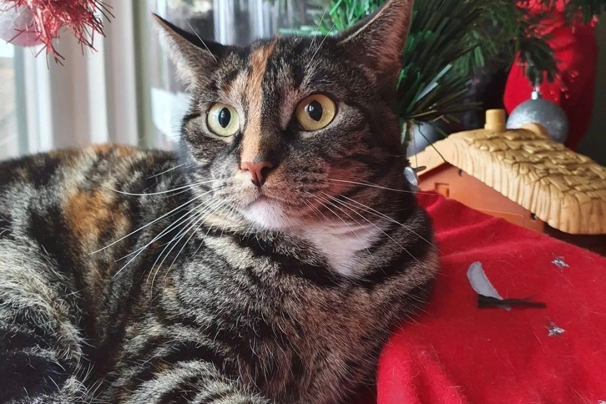 Kala