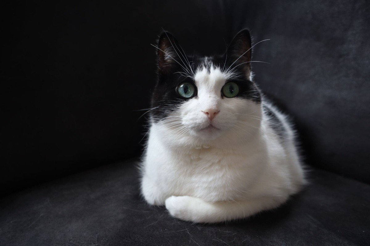 Kiki