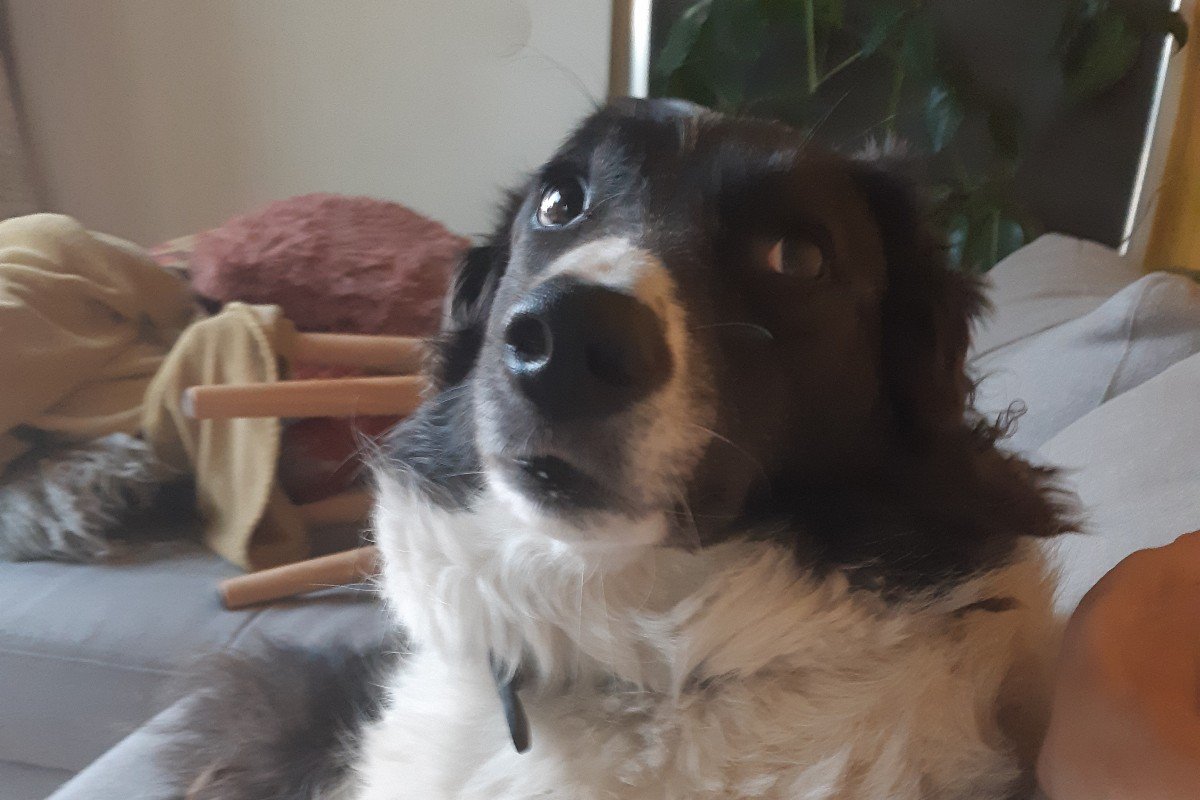 *SPOED* Whoopie