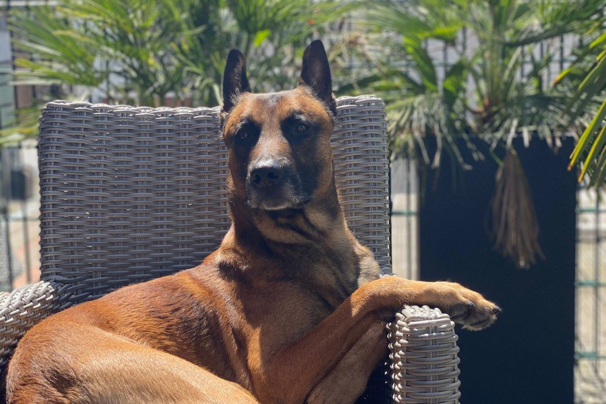 Balou