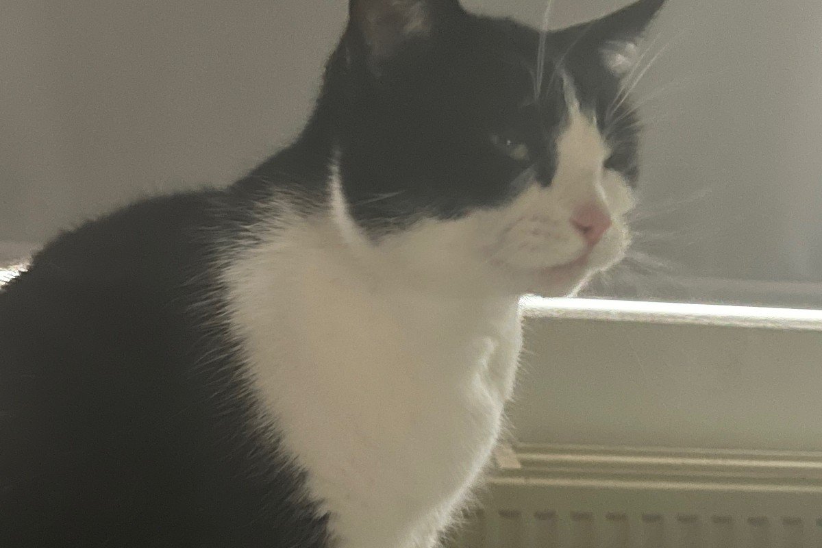 Fluffie