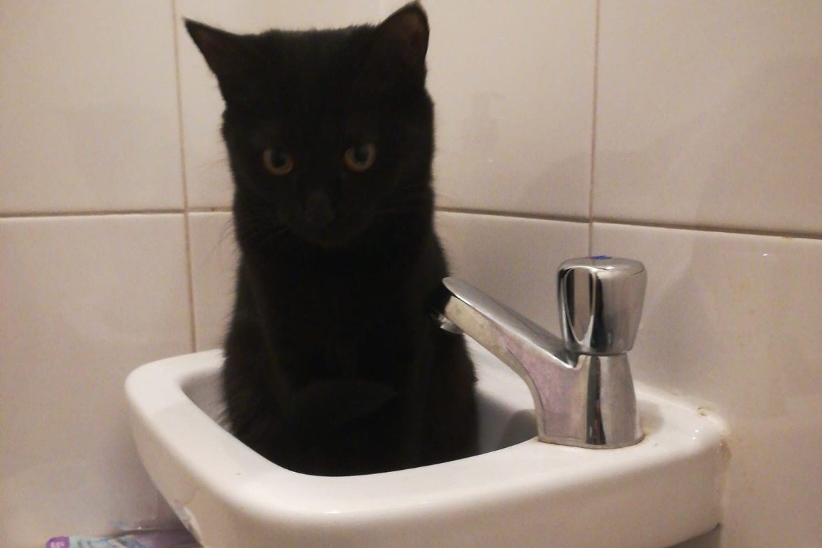Xavier