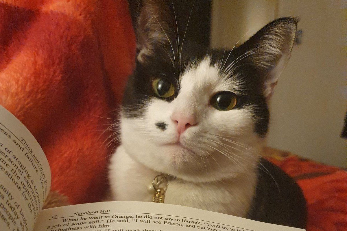 Nefertiti