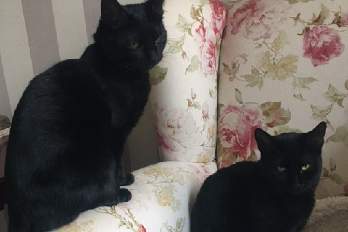 Luna + Lexa
