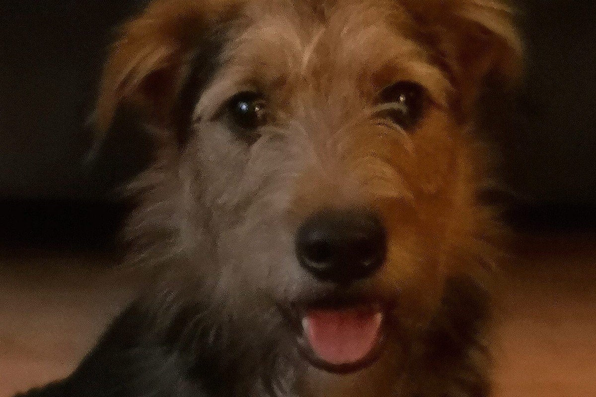 Marnix