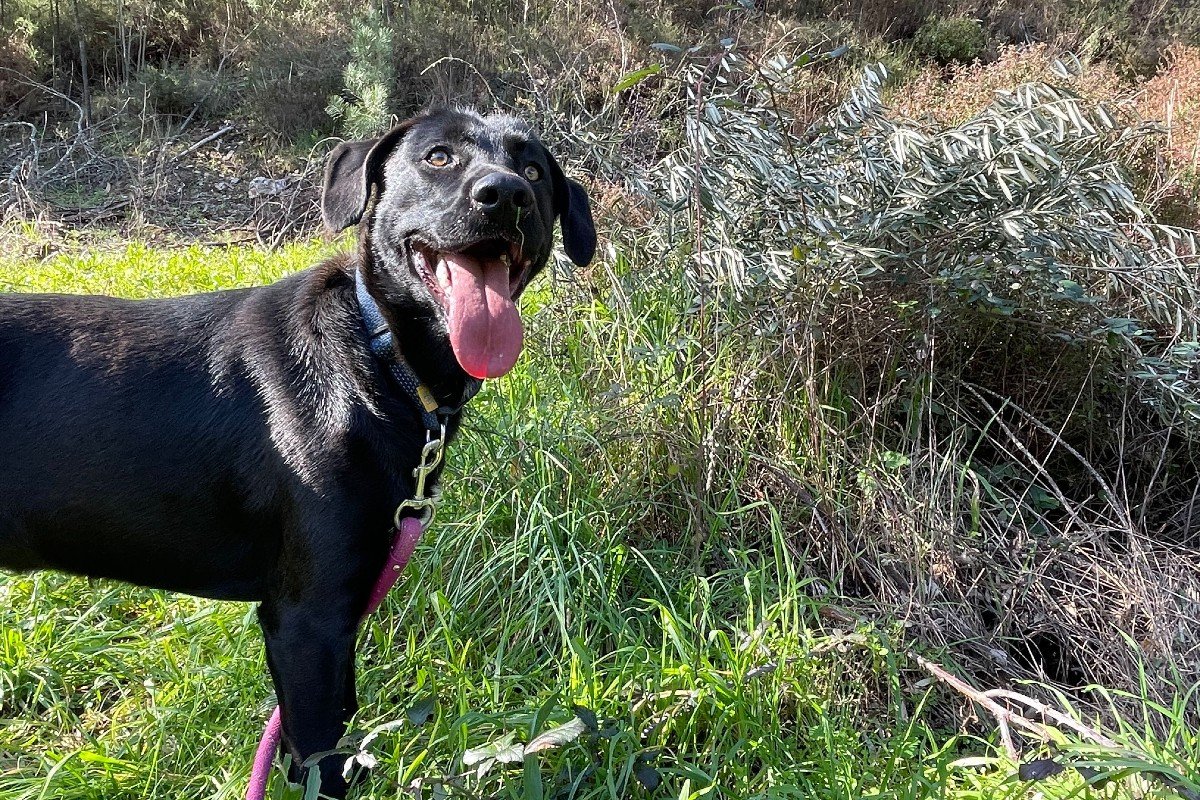 Maggie