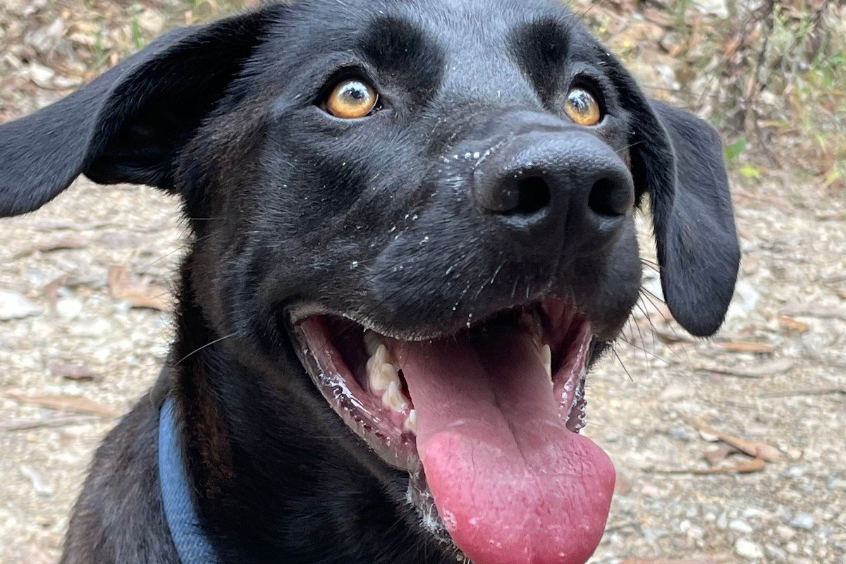 Maggie