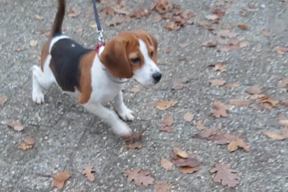 Pablo