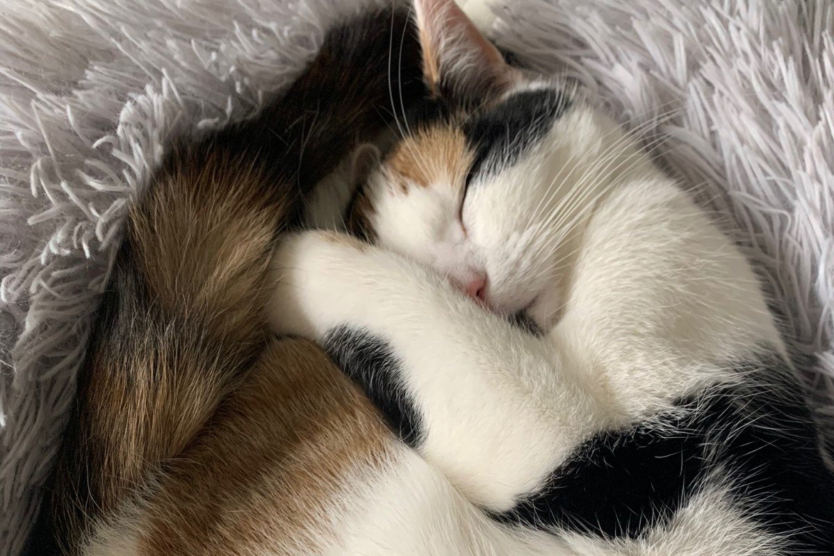 Nala