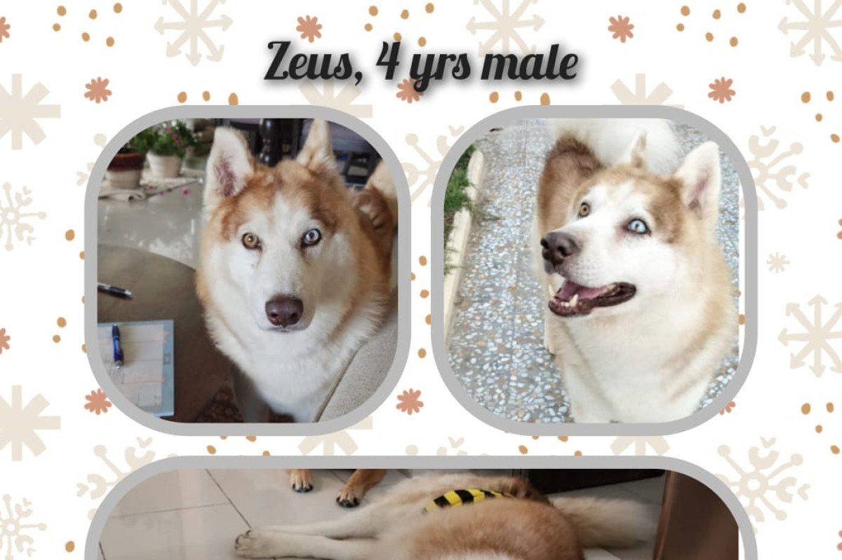 Zeus