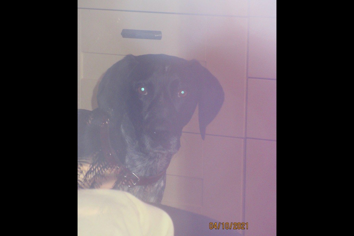 Kas (Gaspar)