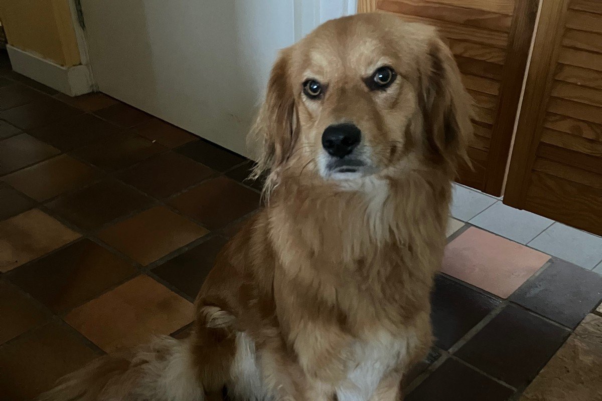 Indra