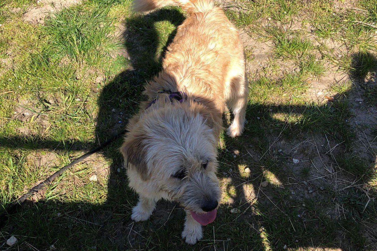Flossie