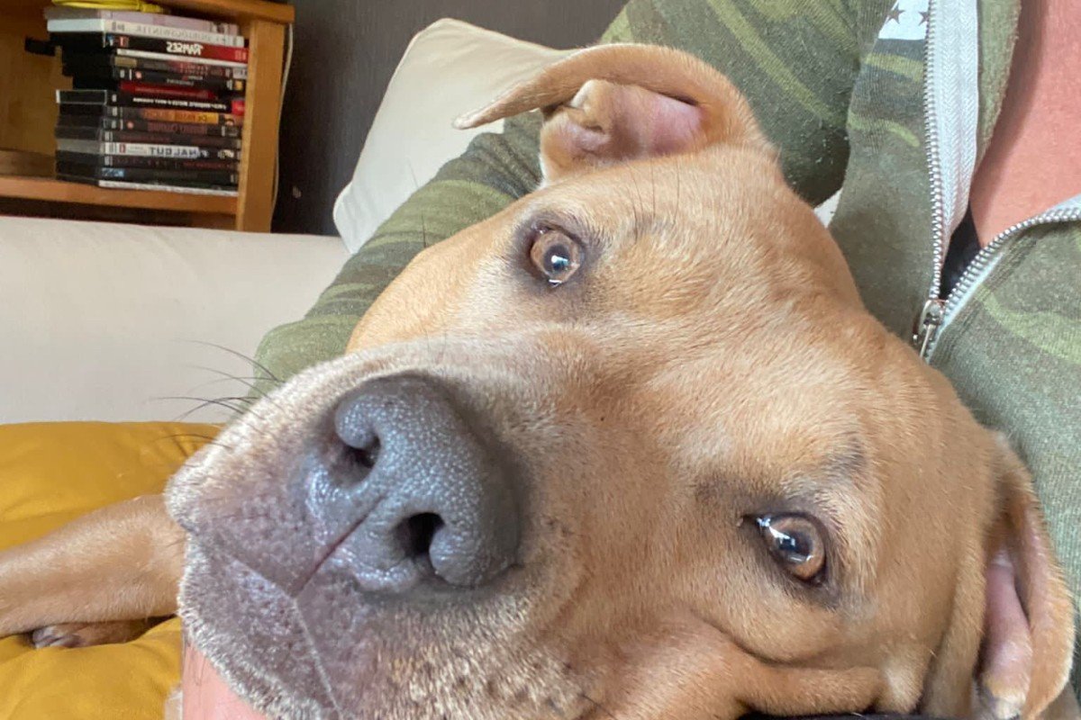 Kona